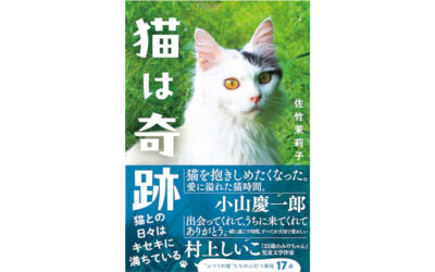 新宿東口の猫が辰巳出版『猫は奇跡』に登場しました。新宿東口の猫の誕生秘話が語られています。