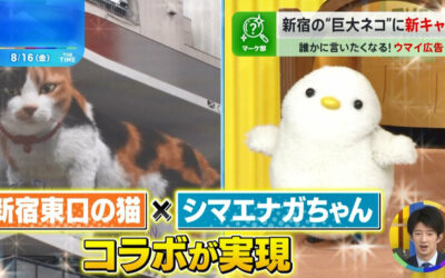 新宿東口の猫がTBS系列『THE TIME,』で紹介されました。