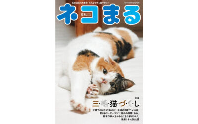 新宿東口の猫が『ネコまる』2024 夏秋号 三毛猫豆知識コーナーに掲載されました。